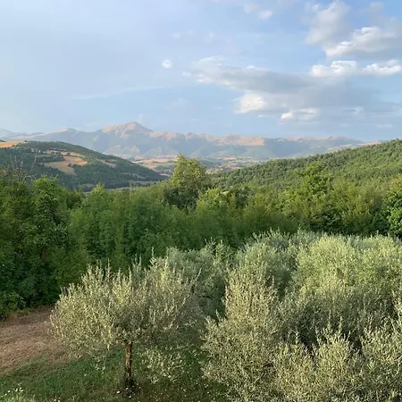 Villa Beautiful Umbrian Near Gubbio With Private Pool Branca